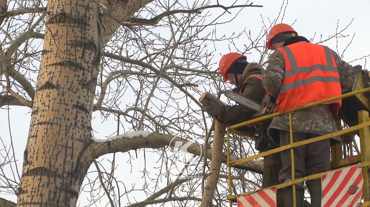 Ведется опиловка деревьев по улице Кулундинская 