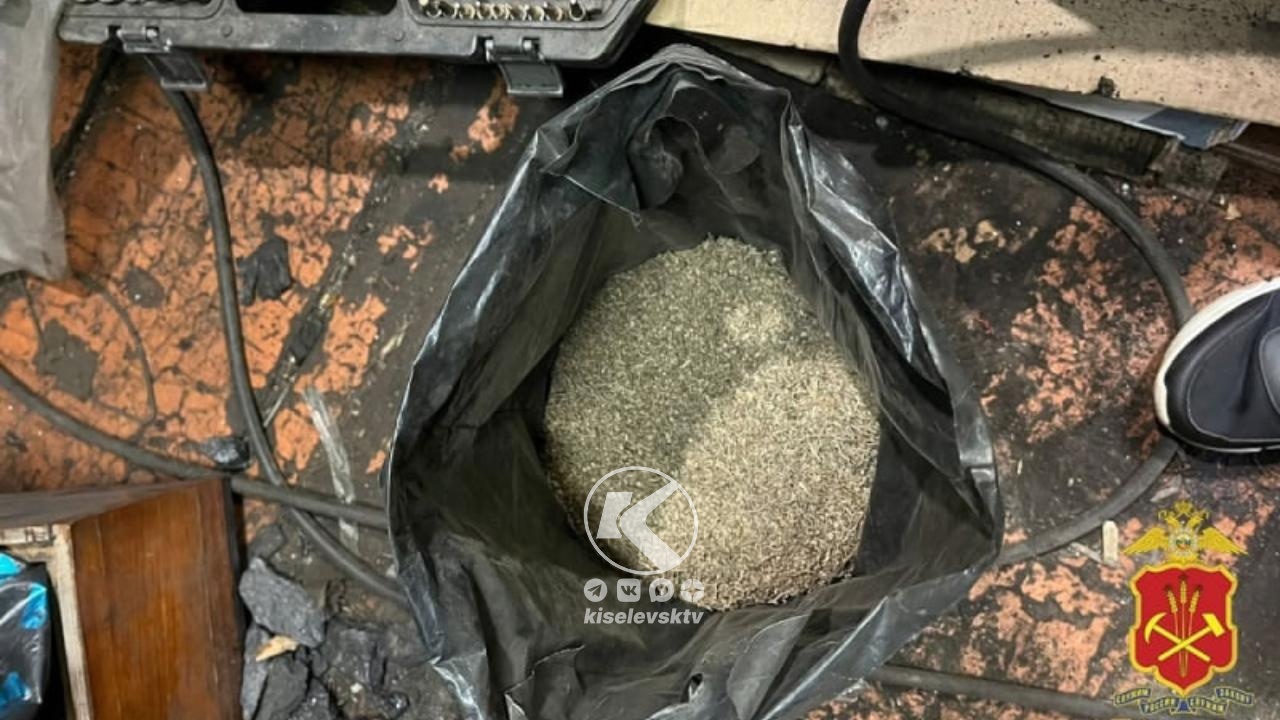 Киселевчанин собрал наркотикосодержащее растение на поляне и хранил в своём гараже